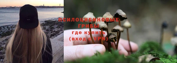 прущая мука Абинск